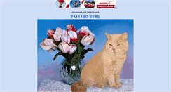 Desktop Screenshot of fallingstar.unas.cz