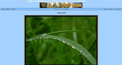 Desktop Screenshot of ankon.unas.cz