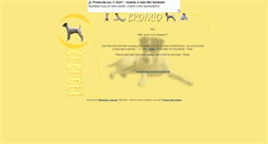Desktop Screenshot of bronco.unas.cz