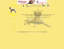 Tablet Screenshot of bronco.unas.cz