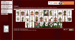 Desktop Screenshot of kvetinac.unas.cz